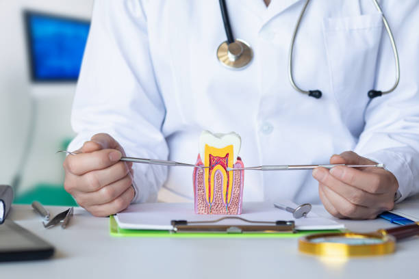Best Emergency Dental Care for Broken or Chipped Teeth in Mead, WA